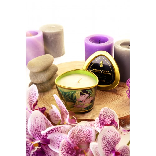 Массажное аромамасло Shunga Zenitude с ароматом зелёного чая, 170 мл