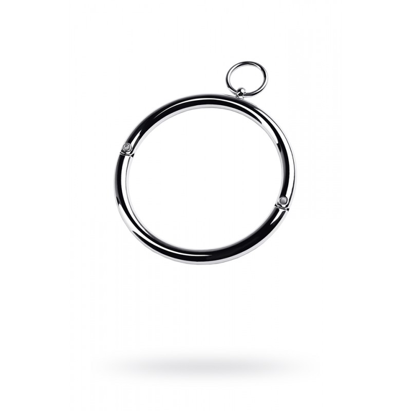 Ошейник TOYFA Metal с кольцом, металл, серебряный