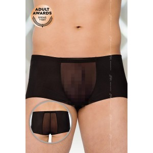 Шорты мужские с прозрачными вставками SoftLine Collection, черный, M/L (иной угол)