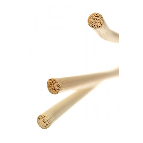 Розги из лозы TOYFA Theatre