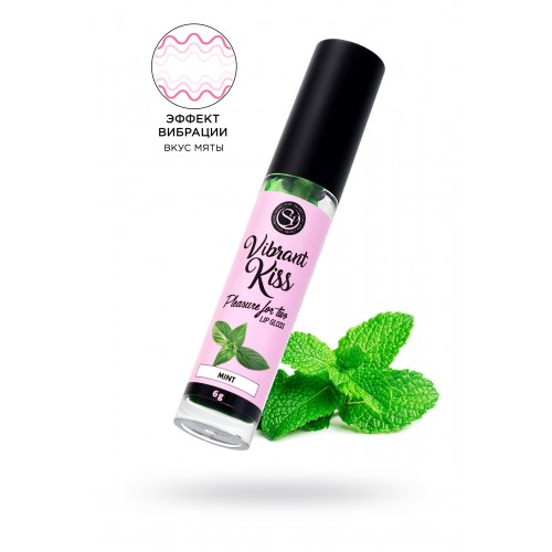 Бальзам для губ SECRET PLAY со вкусом мяты, 6 гр