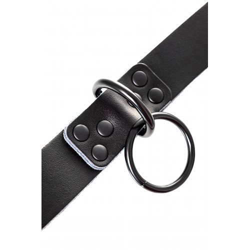 Ошейник TOYFA Theatre, кожа, черный, 58 см