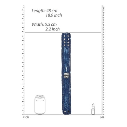 Джинсовый ошейник с поводком голубой Roughend Denim Style