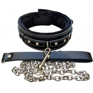 Черный ошейник с плюшем на поводке (иной угол)