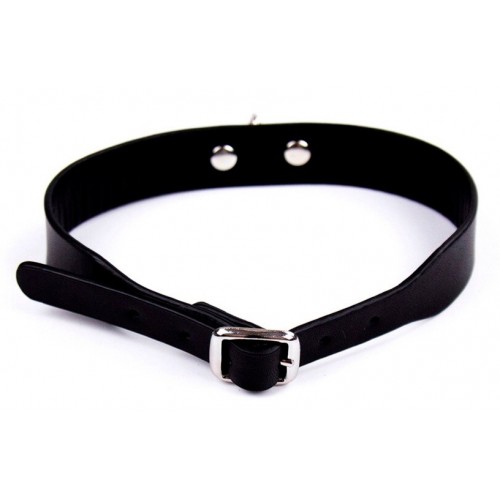 Классический ошейник с кольцом