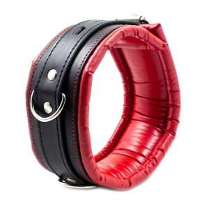 Ошейник узкий с поводком красно-черный (иной угол)
