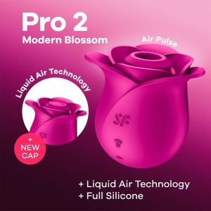 Вакуум-волновой стимулятор клитора Satisfyer Pro 2 Modern Blossom, силикон, бордовый, 6,6 см Вакуум-волновой стимулятор клитора Satisfyer Pro 2 Modern Blossom, силикон, бордовый, 6,6 см (иной угол)