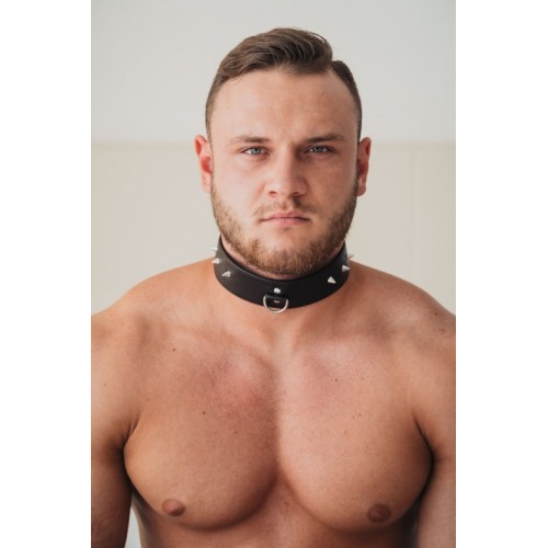 Коричневый ошейник с маленькими шипами XL