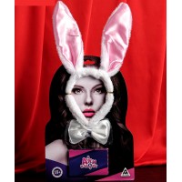 Эротический набор «Ахи-вздохи. Девушка-плейбой», 10 карт, 18+