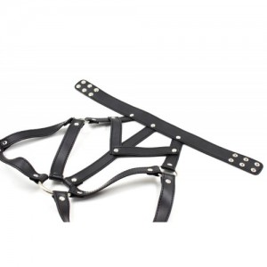 Универсальный лиф и трусики (иной угол)