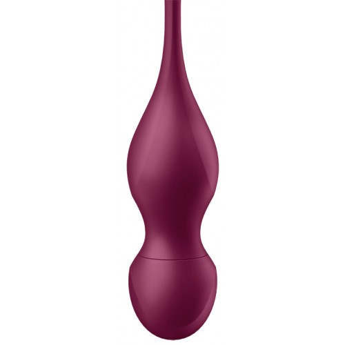 Вагинальные смарт-шарики с вибрацией и сменными утяжелителями Satisfyer Love Birds Vary бордовый