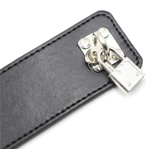 Ошейник с кольцом и поводком на ремне