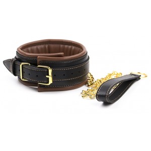 Чёрно-коричневый ошейник с поводком (иной угол)