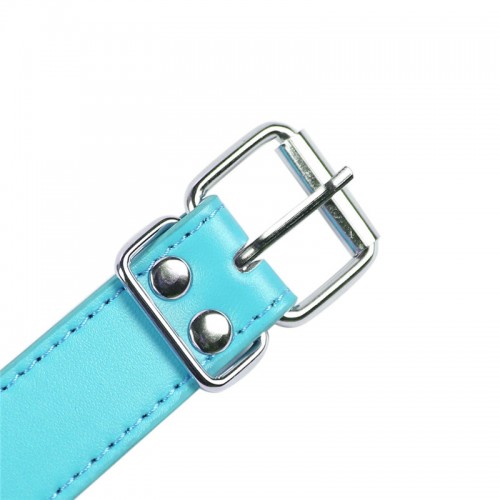 Силиконовый кляп-трензель голубого цвета