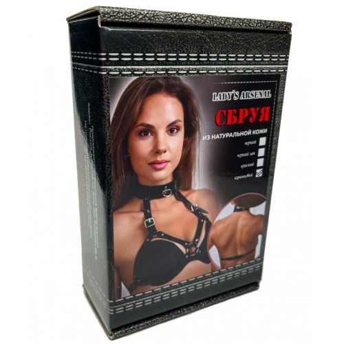 Сбруя с ошейником из темно-шоколадной кожи