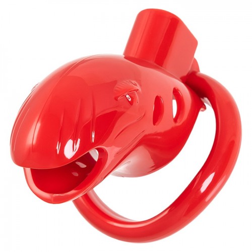 Пояс верности мужской Black&Red by TOYFA, ABS пластик, красный, 10 см