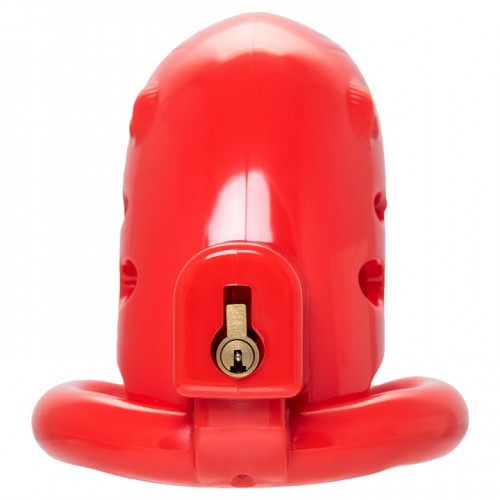 Пояс верности мужской Black&Red by TOYFA, ABS пластик, красный, 10 см