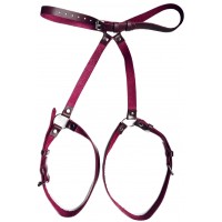 Универсальная бордовая сбруя из натуральной кожи Skinlab