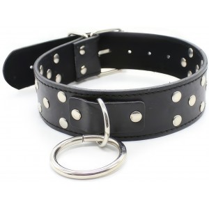 Черный ошейник с кнопками на поводке (иной угол)