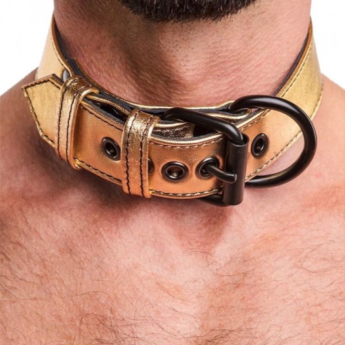 Ошейник с поводком на цепи Bondage Fetish золотистый