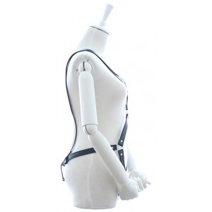 Потрясающая женская сбруя (иной угол)