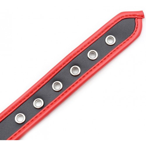 Узкий ошейник с кольцом черно-красный