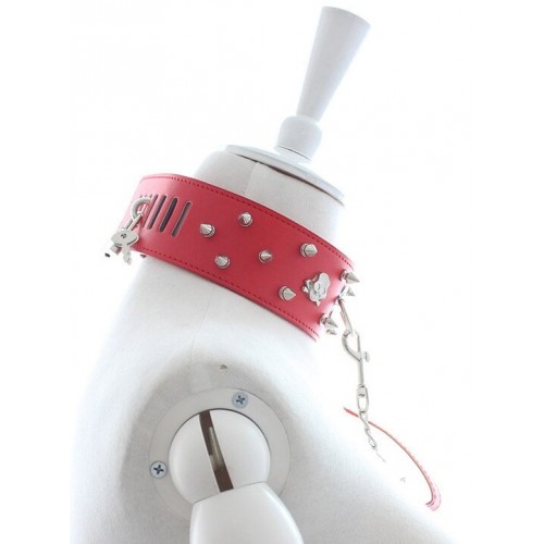 Красный ошейник с шипами на поводке