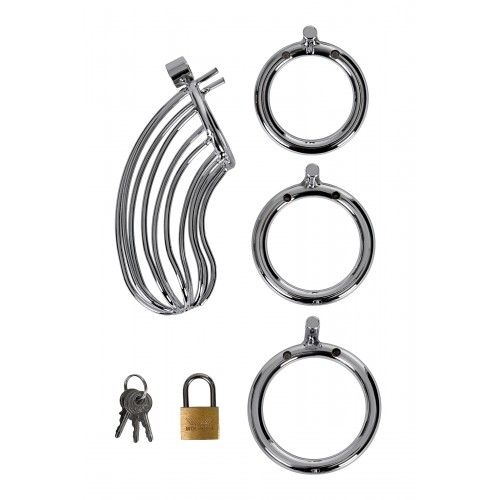 Пояс верности мужской TOYFA Metal, серебряный