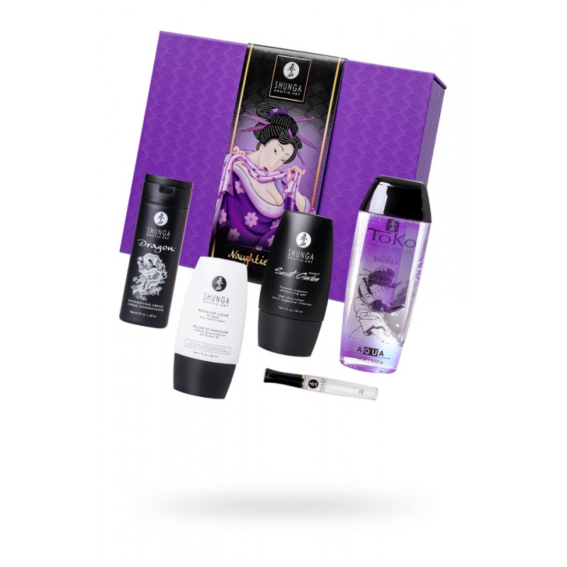 Подарочный набор Shunga Naughter Kit