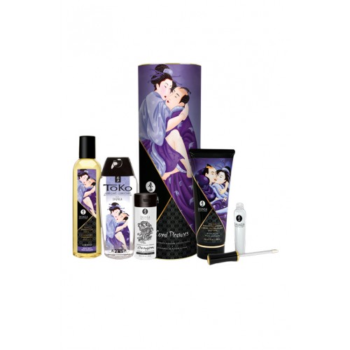 Подарочный набор Shunga Carnal Pleasure (Плотские утехи)