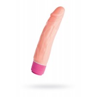Реалистичный вибратор TOYFA A-Toys  Мультискоростной , PVC,  режимов вибрации, 17 см