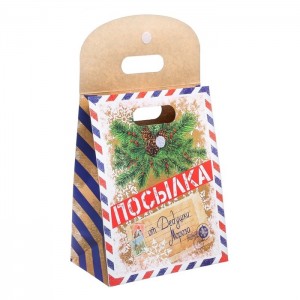 Подарочный пакет Посылка от Деда Мороза ML (иной угол)