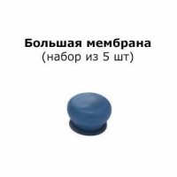 Адгезионная мембрана большого размера, 5 шт.