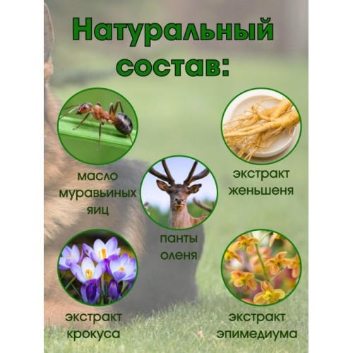 Возбуждающие капсулы для мужчин Германская овчарка 10 шт