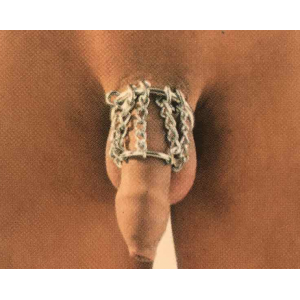 Хомут на пенис из двух металлических колец и цепочек (иной угол)