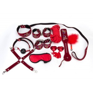 Бондажный набор Taboo Accessories Extreme Set №13