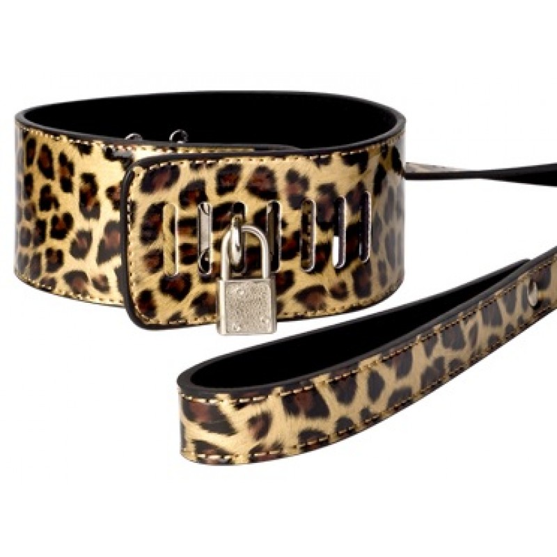 Ошейник золотого цвета и леопардовым окрасом 