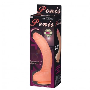 Большой Penis с присоской Большой Penis с присоской (иной угол)