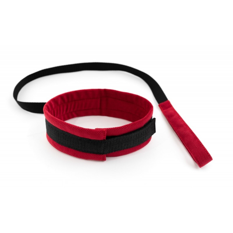 Ошейник с поводком красный My rules																																																											